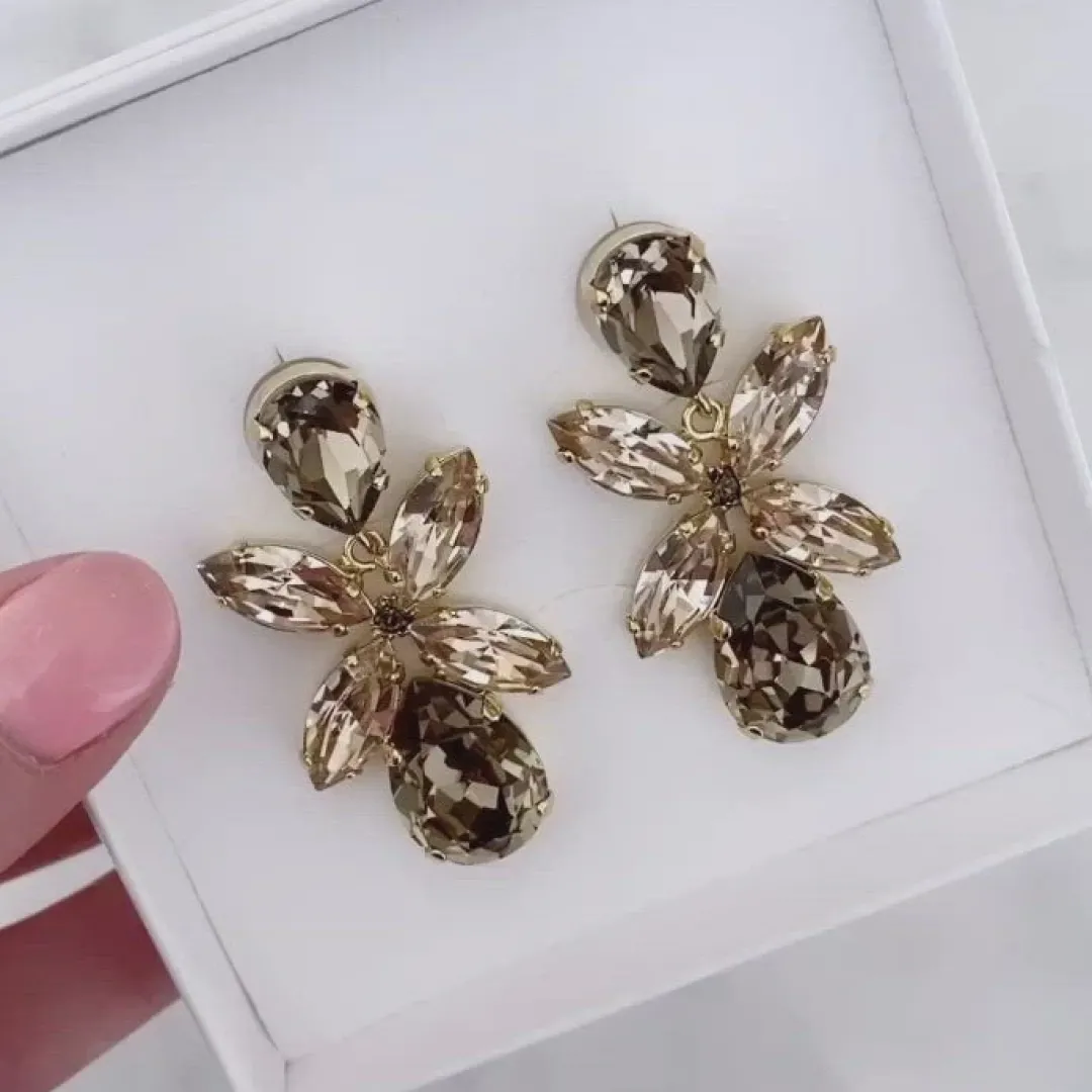 Hot Dione Earrings Örhängen