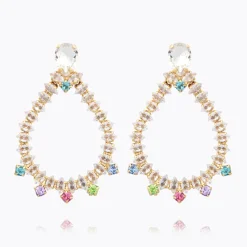 Flash Sale Lily Earrings/Rainbow Combo Örhängen