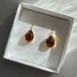 Store Mini Drop Clasp Earrings Örhängen