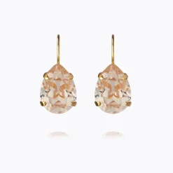 Sale Mini Drop Clasp Earrings Örhängen