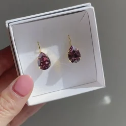 Shop Mini Drop Clasp Earrings Örhängen